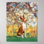 Basenji - Spring Posters
