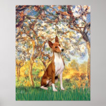 Basenji - Spring Posters