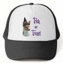 Basenji Trick hats
