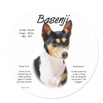 Basenji (tricolor) History Design Sticker by GreyWolfCreation