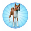 Basenji shirt