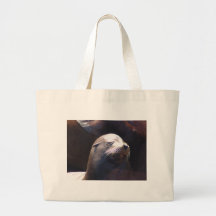 Bashful Bags