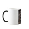 Bashful Bride mugs