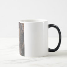 Bashful Bride Mugs
