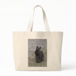 Bashful Bunny bags
