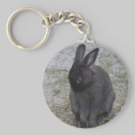 Bashful Bunny keychains