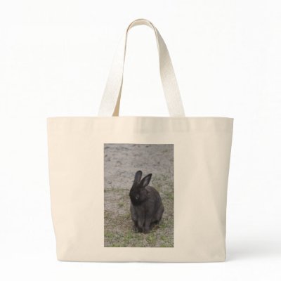 Bashful Bunny Rabbit by sruhs