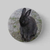 Bashful Bunny Rabbit buttons