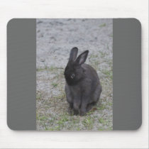 Bashful Bunny Rabbit mousepads