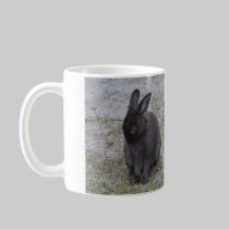 Bashful Bunny Rabbit mugs