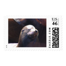 Bashful Stamps