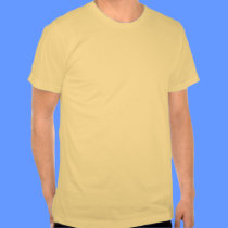 Basic American Apparel T-Shirt t-shirts