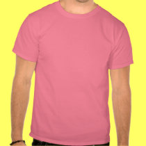 Basic Bears Can Not Fly t-shirts