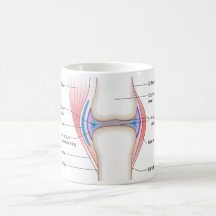 Basic Diagram of a Human Anatomical Joint Mug