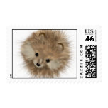 Basic Fur-ball Stamps