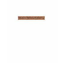 Basic Logo Ladies t-shirts