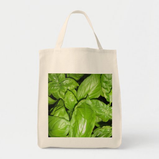 450th Anniversary of St. Basil Canvas Bag