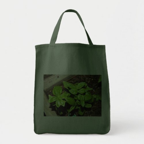 Basil in the Garden bag