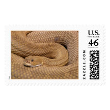 Basilisk Rattlesnake Postage