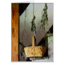Basket and Drying Herbs Greeting Cards