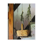Basket and Drying Herbs Post Card