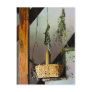 Basket and Drying Herbs Post Card