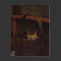 "Basket Case" Cat Postcard by Victoreeah "Basket Case" Cat Postcard