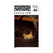 Basket Case Cat Stamps