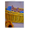 basket cat card by KatAnnette basket cat card