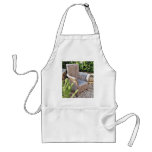 Basket Chair Furniture aprons