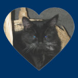 Basket Kitten Heart Sticker stickers