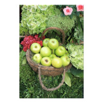 Basket of apples photographic print