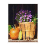 Basket of Asters With Pumpkin and Gourd Postcards