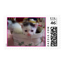 basket of babies postage by KatAnnette basket of babies postage