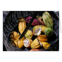Basket of Cocoa (Blank) cards by kmcguire Basket of Cocoa (Blank) cards