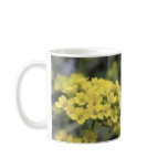 Basket Of Gold Alyssum Mug