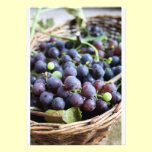 Basket of Grapes Invitation invitations