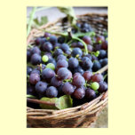 Basket of Grapes Print posters