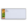 Basket of Green Grapes Envelope