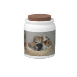 Basket of Jack Russell Terriers Candy Jar