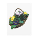 Basket of Primroses Post Card