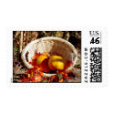 Basket of Pumpkins postage by Killlashandra Basket of Pumpkins postage