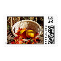Basket of Pumpkins stamps