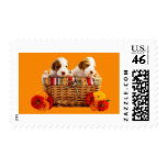 Basket Of Puppies Postage Stamps