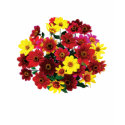 Basket of Single Dahlias shirt