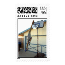 Basketball; America's Game postage