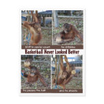 Basketball Heroes Postcards