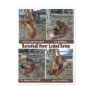 Basketball Heroes Postcards