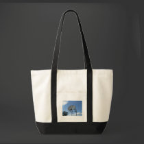 Basketball Hoop bags