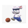 Basketball-Mouse Postcards